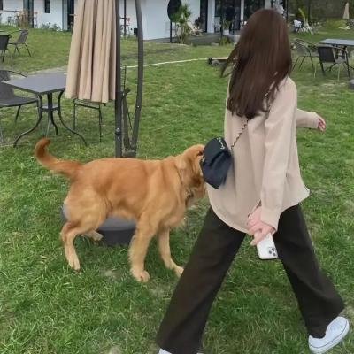 银翼情人